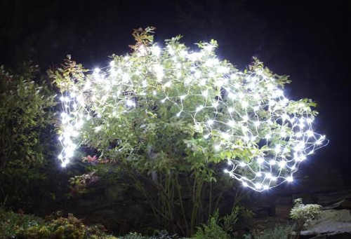 Vánoční osvětlení keřů v zahradě