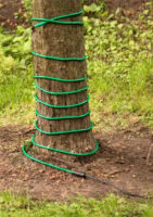 Levný topný kabel pro ochranu stromů před mrazem