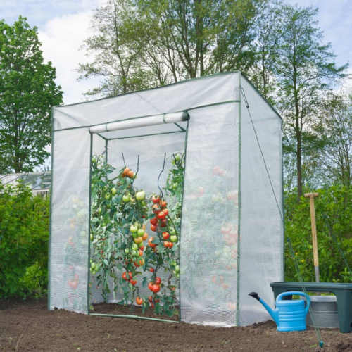 užitečný fóliovník pro pěstování rajčat