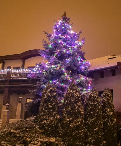 Zahradní barevný řetěz na vánoční strom